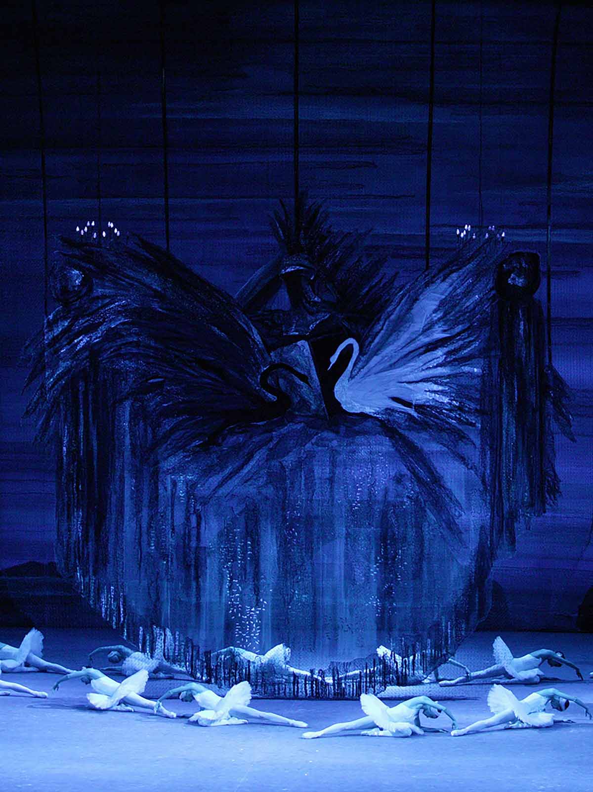 SWAN LAKE Damir Yusupov